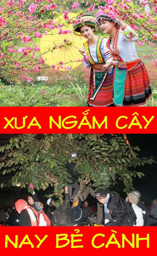 Hái lộc đầu năm cũng đã khác xưa rất nhiều. Hái lộc đầu năm cũng đã khác xưa rất nhiều.