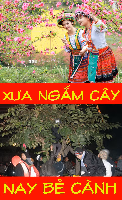 Hái lộc đầu năm cũng đã khác xưa rất nhiều.