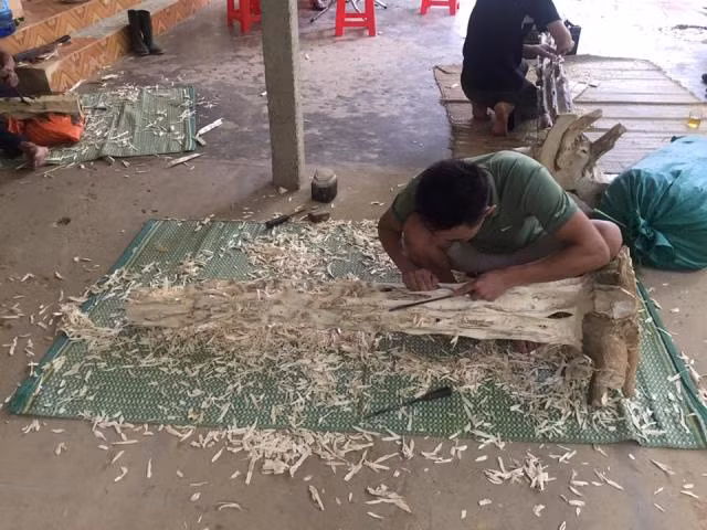  Khúc gỗ dó được đẽo lớp vỏ gỗ bên ngoài đến khi lộ rõ mạch trầm, người thợ sẽ tỉ mẫn loại bỏ những phần gỗ trắng, gần như chỉ để phần trầm lại.
