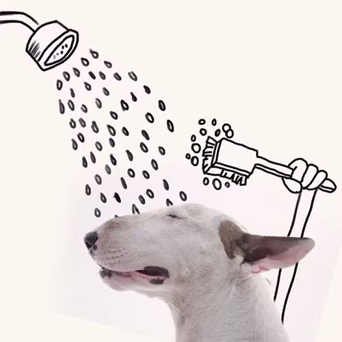 Bo anh doc va hai huoc ve cho cung-Hinh-5