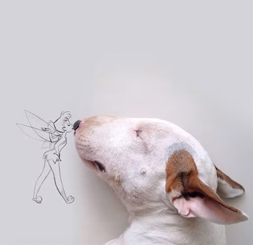 Bo anh doc va hai huoc ve cho cung-Hinh-13