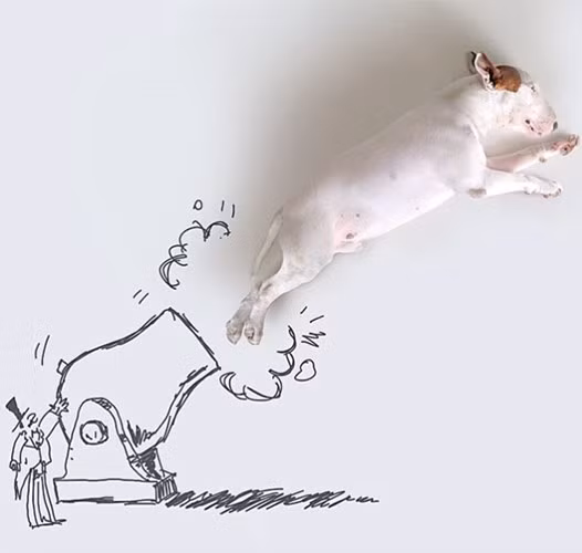 Bo anh doc va hai huoc ve cho cung-Hinh-11