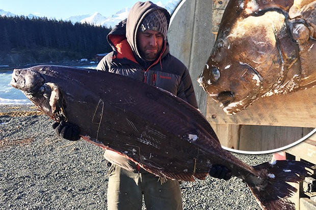 ca “ngoai hanh tinh” la chua tung thay troi dat bo bien my hinh anh 1