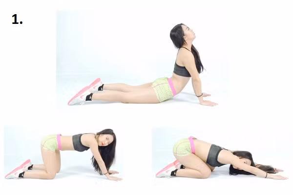 7-bai-tap-thu-tieu-mo-thua-vung-lung-1