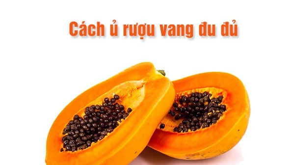 Cách ủ rượu vang đu đủ đơn giản tốt cho sức khỏe các mẹ nên thử ngay