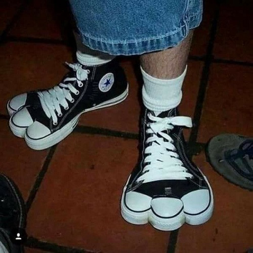 Giày thể thao phong cách thú cưng.