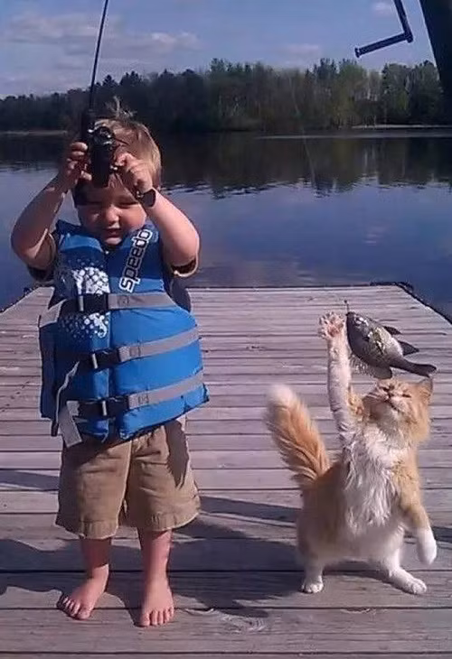 Kẻ cướp công trắng trợn.