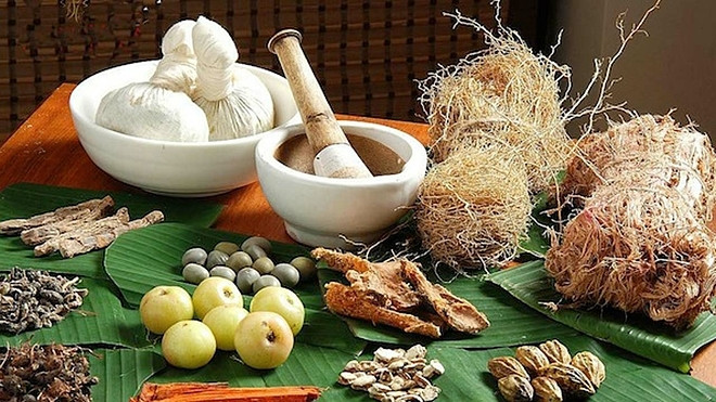 Thuốc Đông y giúp phòng ngừa và điều trị sốt xuất huyết giai đoạn nhẹ, giai đoạn nặng cần kết hợp với Tây y. Ảnh: Guardian Negeria.