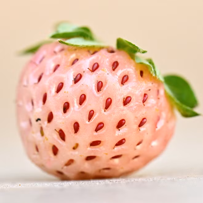 Những loại trái cây bất chấp mọi quy luật để tồn tại với vẻ ngoài vô cùng kỳ dị - Ảnh 2.