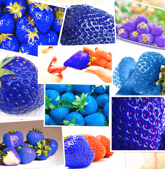 Những loại trái cây bất chấp mọi quy luật để tồn tại với vẻ ngoài vô cùng kỳ dị - Ảnh 15.