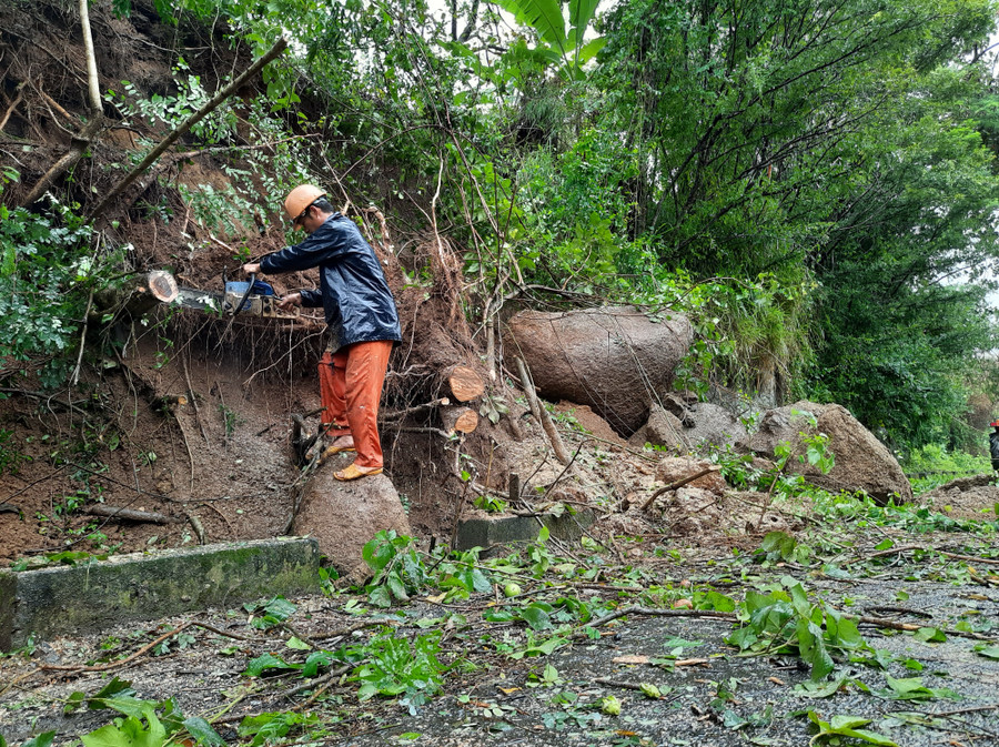 Mưa lớn khiến cây cối gãy đổ, lực lượng chức năng tiến hành cắt thông thoáng giao thông, tránh tai nạn.