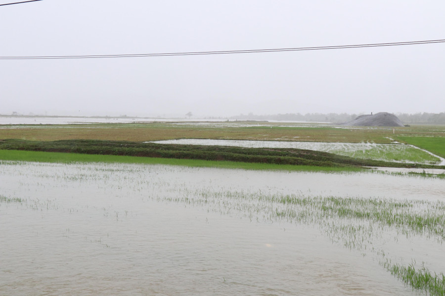 Hàng trăm ha lúa nước, hoa màu của người dân chìm trong biển nước.