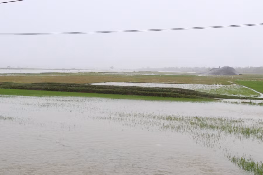 Hàng trăm ha lúa nước, hoa màu của người dân chìm trong biển nước.