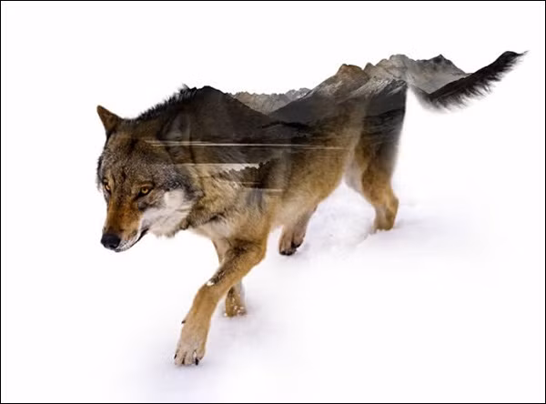 buc-anh-hai-the-gioi