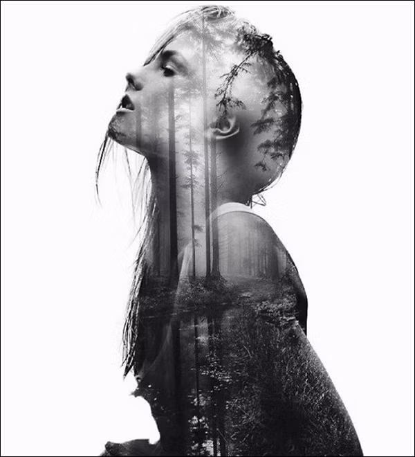 buc-anh-hai-the-gioi