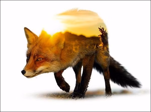 buc-anh-hai-the-gioi