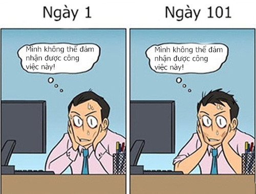 Truyện tranh: Nai tơ và cáo già công sở khác gì nhau? hình ảnh 6 truyen tranh: nai to va cao gia cong so khac gi nhau? hinh anh 6