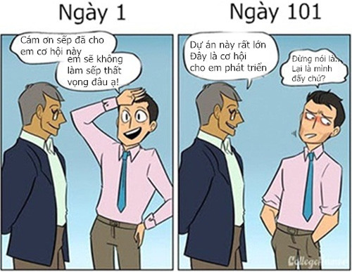 Truyện tranh: Nai tơ và cáo già công sở khác gì nhau? hình ảnh 5 truyen tranh: nai to va cao gia cong so khac gi nhau? hinh anh 5
