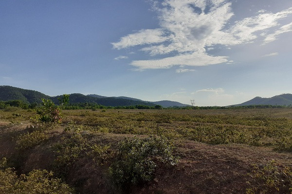 Trại bò nghìn tỷ liên quan ông Trần Bắc Hà giờ thành vườn chuối