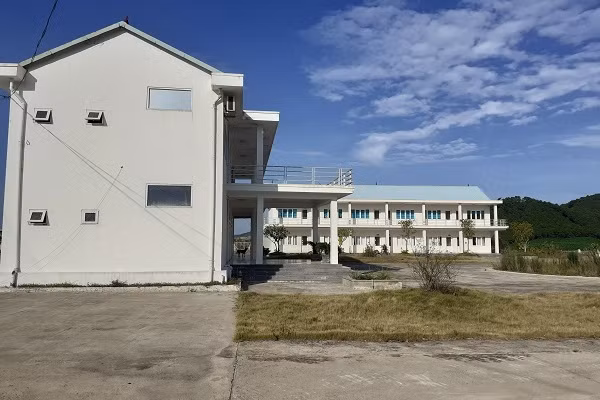 Trại bò nghìn tỷ liên quan ông Trần Bắc Hà giờ thành vườn chuối