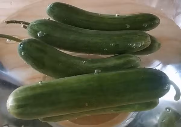 tu lam dua chuot muoi chua gion cuc de, ngon chang kem ngoai hang, khong lo chat bao quan - 3