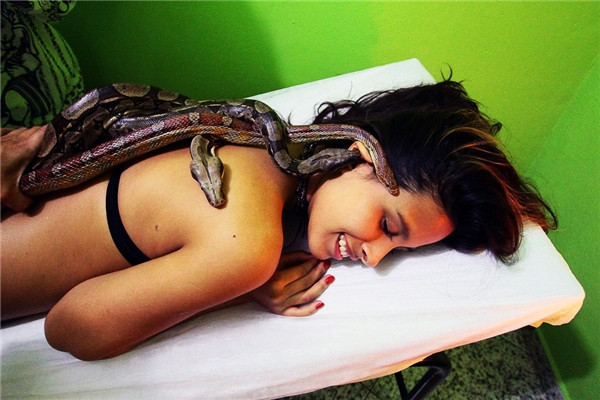 Massage rắn sẽ là một trải nghiệm vô cùng tuyệt vời. Massage rắn sẽ là một trải nghiệm vô cùng tuyệt vời.
