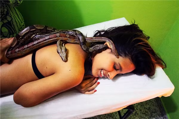Massage rắn sẽ là một trải nghiệm vô cùng tuyệt vời.
