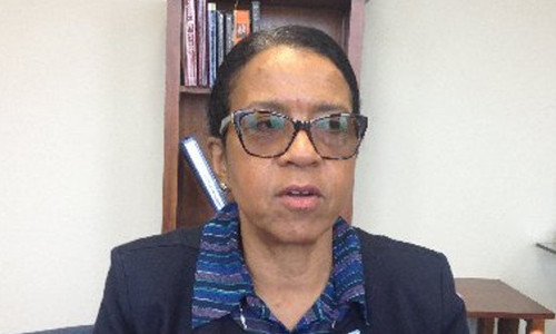 Bà Andrea Young, Giám đốc điều hành tổ chức hỗ trợ vợ chồng nhà Walk kiện bang Georgia. Ảnh:AJC cap-vo-chong-my-kien-bang-vi-bi-cam-dat-ten-con-nhu-y