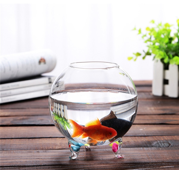 Bể cá vàng trên bàn làm việc sẽ làm tăng sức sống cho cả căn phòng và người thuê. Bể cá vàng trên bàn làm việc sẽ làm tăng sức sống cho cả căn phòng và người thuê.