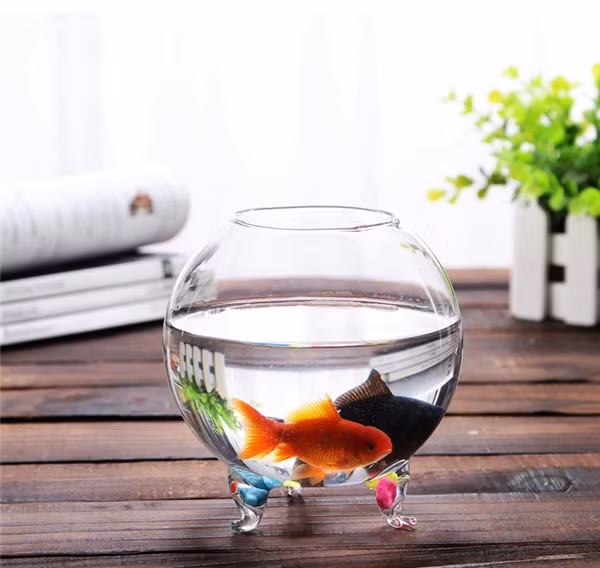 Bể cá vàng trên bàn làm việc sẽ làm tăng sức sống cho cả căn phòng và người thuê.