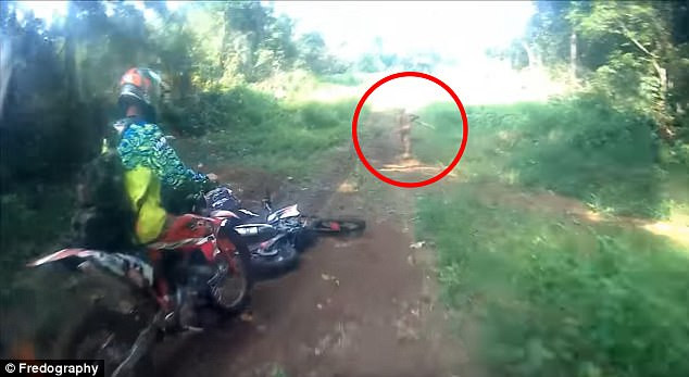 Người lùn Indonesia sống cách đây 5 vạn năm vẫn tồn tại? hình ảnh 1 nguoi lun indonesia song cach day 5 van nam van ton tai? hinh anh 1
