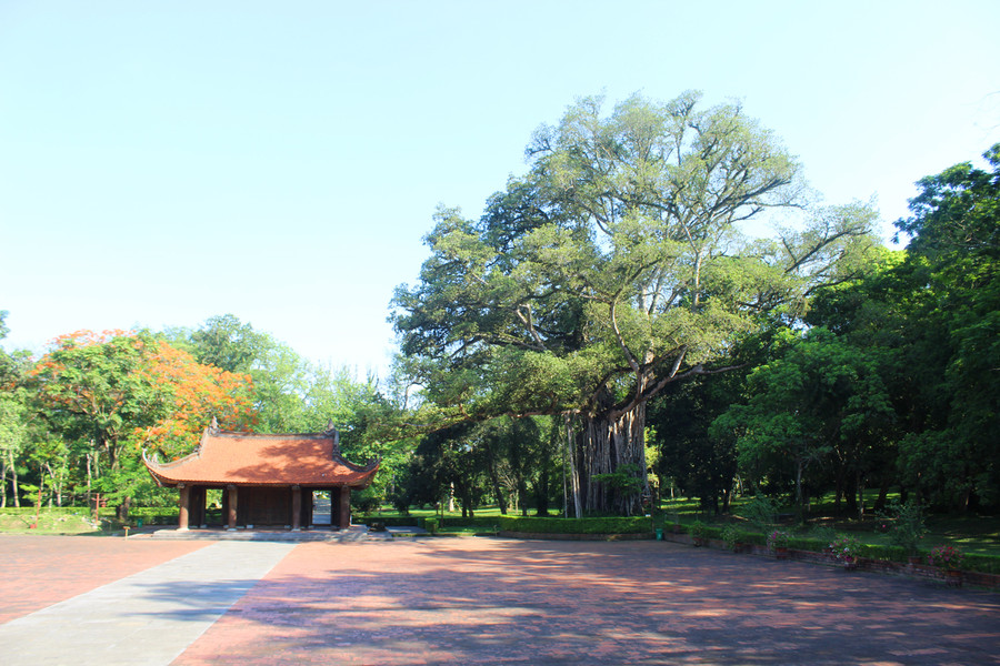 Khu di tích Lam Kinh còn lưu giữ được nét đẹp của không gian làng cổ Việt Nam, với cây đa, giếng nước, sân đình. Bên phải sân rồng (còn gọi là sân chầu) là cây đa thị tuổi đời hàng trăm năm tuổi, có kích thước chục người ôm mới xuể. Ảnh: LT.