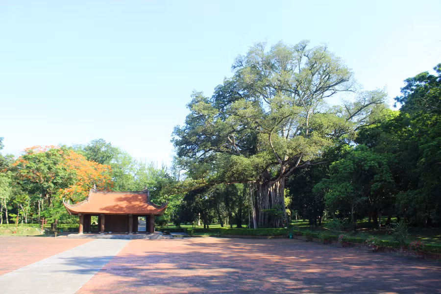 Khu di tích Lam Kinh còn lưu giữ được nét đẹp của không gian làng cổ Việt Nam, với cây đa, giếng nước, sân đình. Bên phải sân rồng (còn gọi là sân chầu) là cây đa thị tuổi đời hàng trăm năm tuổi, có kích thước chục người ôm mới xuể. Ảnh: LT.