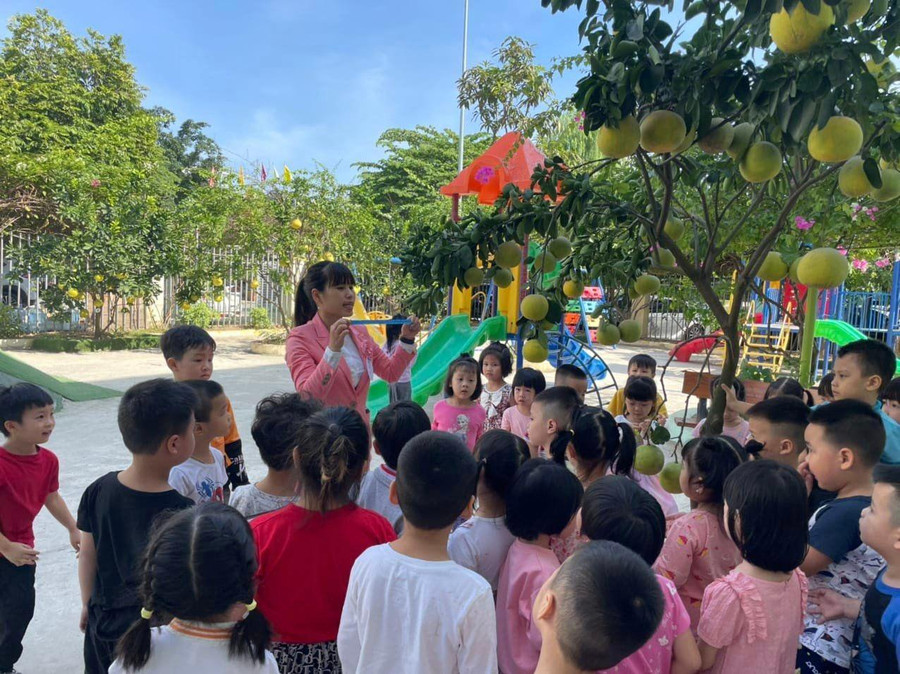 Các bé cùng cô giáo tìm hiểu về cây bưởi - quả bưởi ngay tại vườn trường. Các bé cùng cô giáo tìm hiểu về cây bưởi - quả bưởi ngay tại vườn trường.
