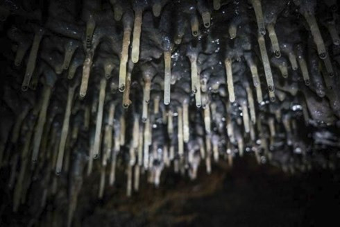 Bên trong hang động “thần bí” 1.000 năm tuổi của người Maya ảnh 2