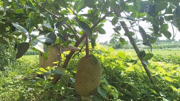 May quá, tìm được đồng minh rồi. (Ảnh: Tuấn)