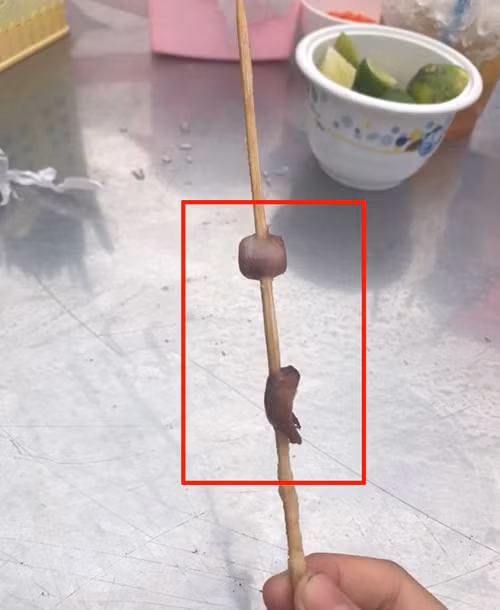 ... và phần mực bên trong.