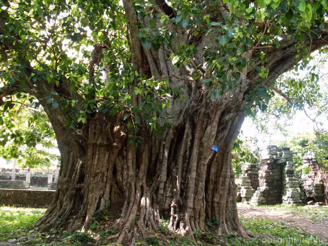 Những nơi có tà khí như thế này nên hạn chế đến - Ảnh 3.