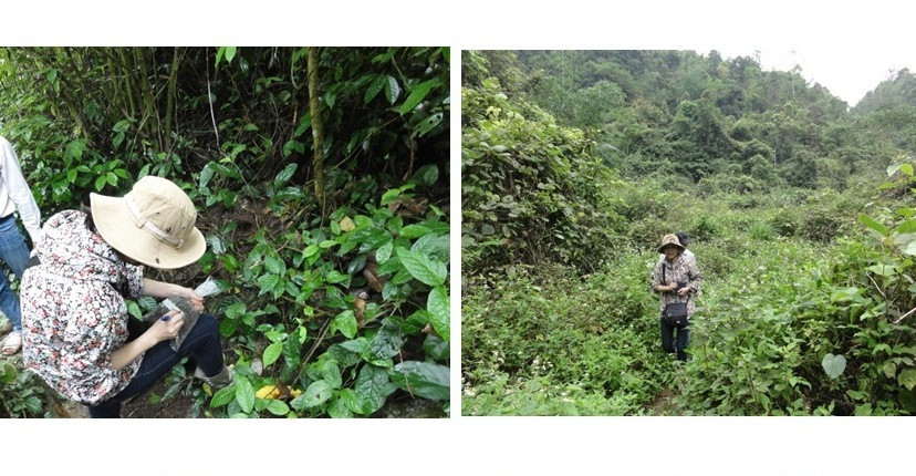 Nhà khoa học nữ VN có công trình được đăng trên tạp chí khoa học uy tín nhất thế giới