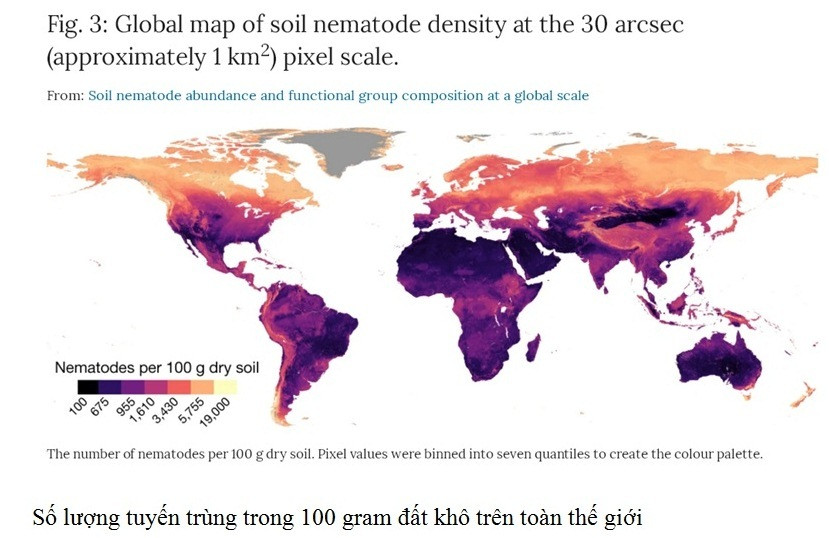 Nhà khoa học nữ VN có công trình được đăng trên tạp chí khoa học uy tín nhất thế giới