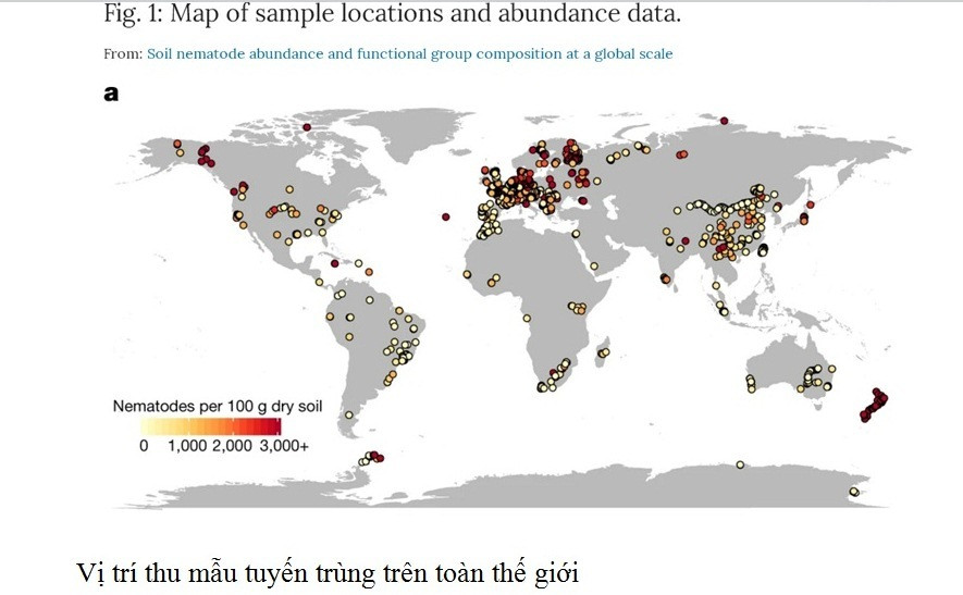 Nhà khoa học nữ VN có công trình được đăng trên tạp chí khoa học uy tín nhất thế giới