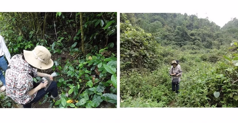 Nhà khoa học nữ VN có công trình được đăng trên tạp chí khoa học uy tín nhất thế giới