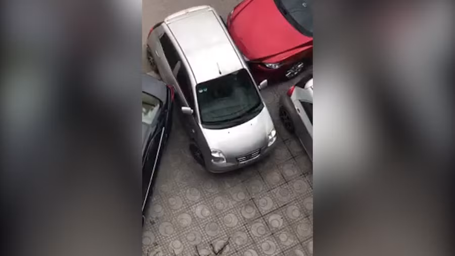 Pha ra chuồng bá đạo.