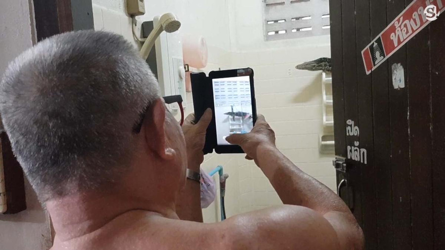 Phát hiện sinh vật gớm ghiếc khổng lồ trong phòng tắm hình ảnh 3 phat hien sinh vat gom ghiec khong lo trong phong tam hinh anh 3