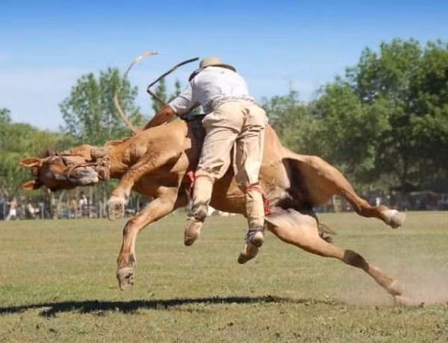 Ngỡ ngàng với khoảnh khắc “chộp” đúng thời điểm - Hình 2