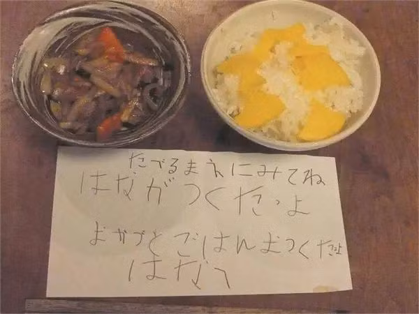 Bé gái 5 tuổi biết nấu ăn, làm việc nhà trước khi mẹ qua đời vì ung thư, giờ ra sao - Ảnh 9.