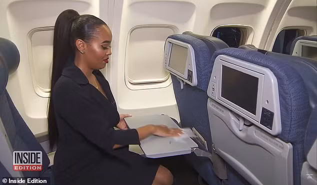 Jamila Hardwick khuyên hành khách nên mang giẻ lau để lau sạch bàn ăn trên máy bay.