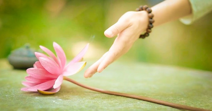 Con người trên đường hoàn lương, làm việc thiện dù nhỏ hay lớn, cũng chớ vội vui mừng, nghĩ rằng nghiệp đã trả đủ. 