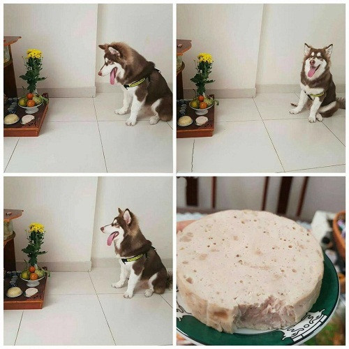 Chó treo, mèo đậy. 10-anh-hai-hot-nhat-facebook-trong-ngay-4