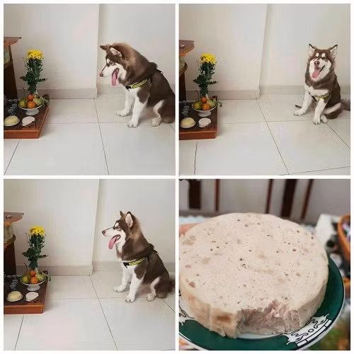 10-anh-hai-hot-nhat-facebook-trong-ngay-4